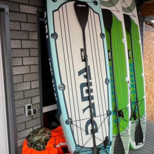 sapbord1