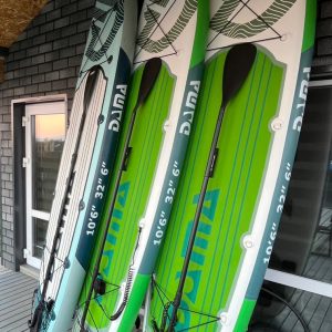 sapbord3